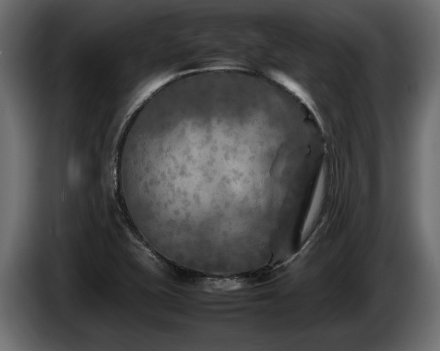 X0000085831415200703231410