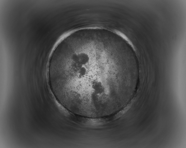 X0000085831421200703231410