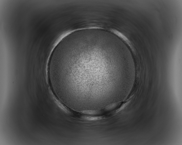 X0000085831423200703231410