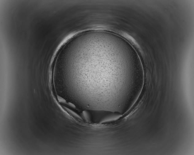 X0000085831424200703231410