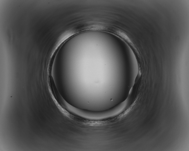 X0000085831426200703231410