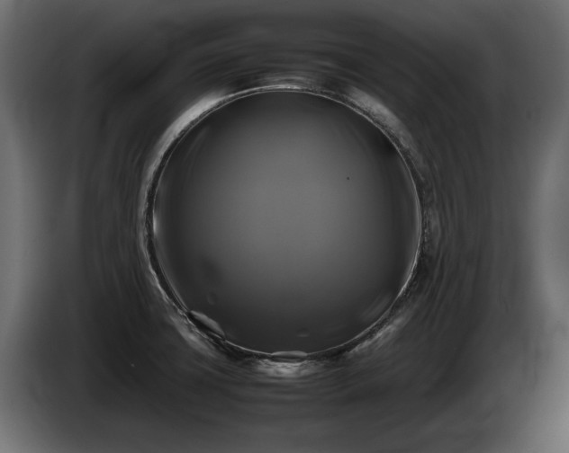 X0000085831427200703231410