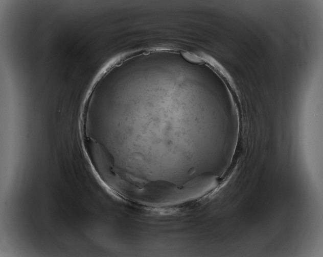 X0000085831429200703231410