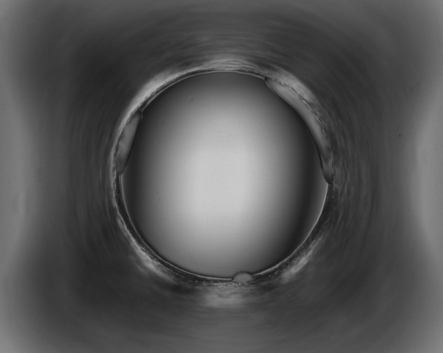 X0000085831430200703231410