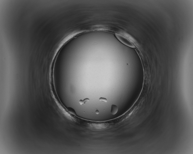 X0000085831431200703231410