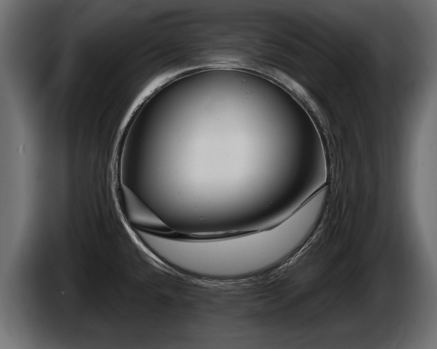 X0000085831432200703231410