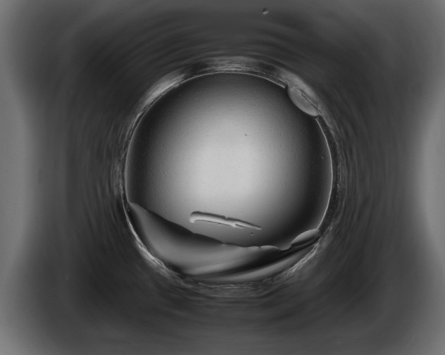 X0000085831433200703231410