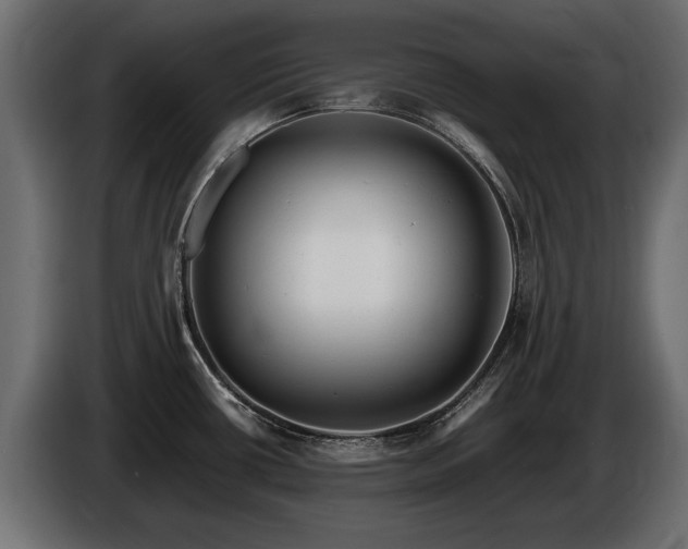 X0000085831434200703231410