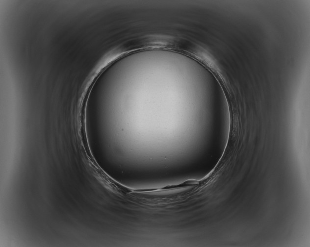 X0000085831435200703231410