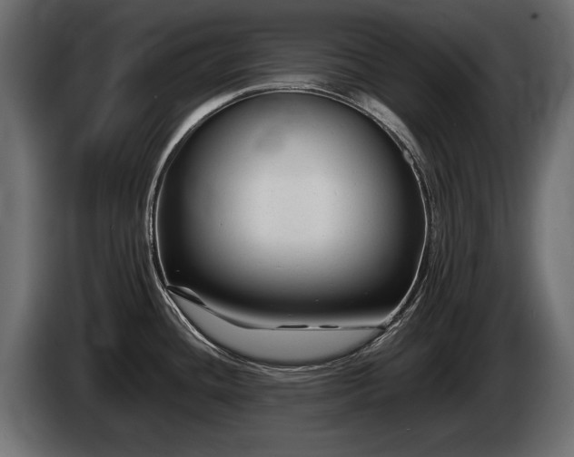 X0000085831436200703231410