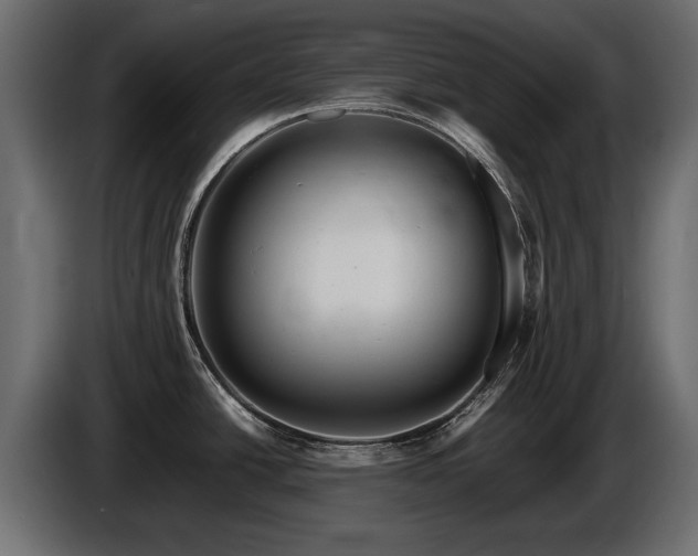 X0000085831438200703231410