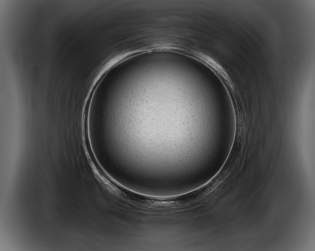 X0000085831439200703231410