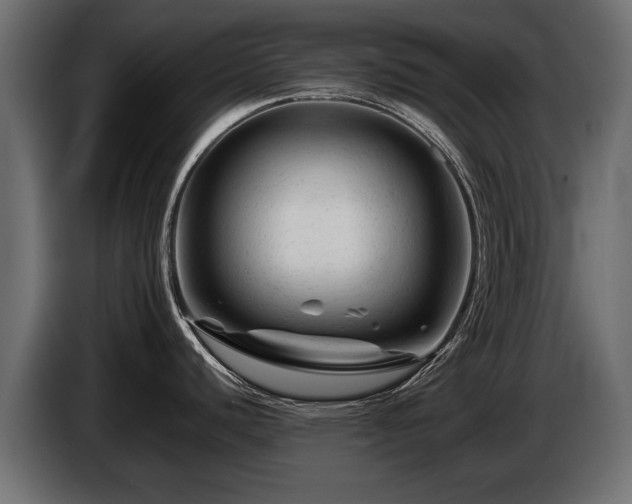 X0000085831440200703231410