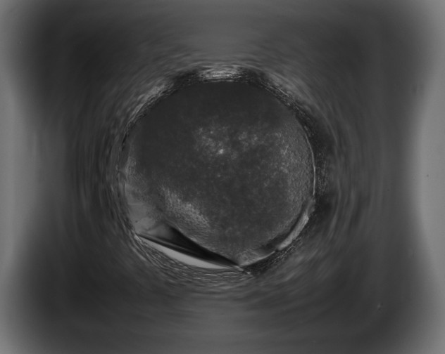 X0000085831441200703231410