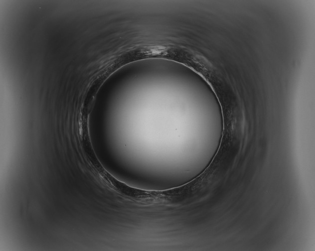 X0000085831442200703231410