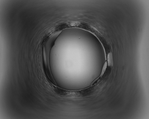 X0000085831443200703231410