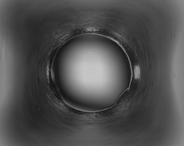 X0000085831444200703231410
