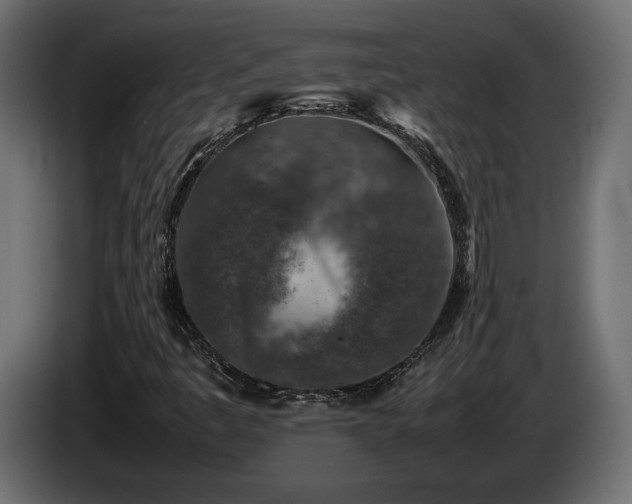X0000085831445200703231410