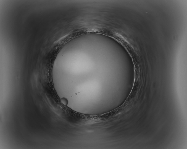 X0000085831446200703231410