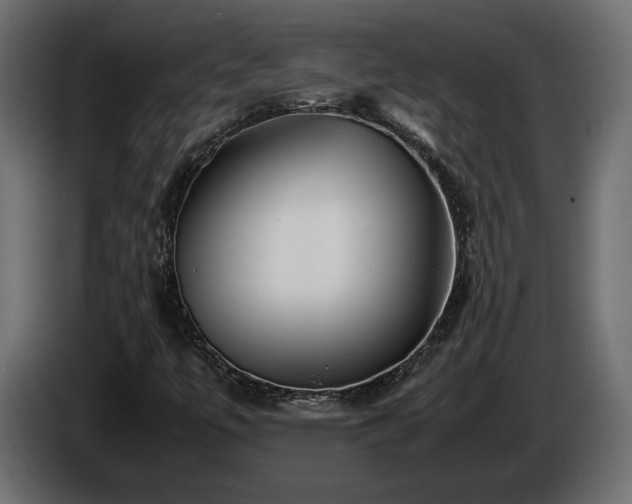 X0000085831447200703231410