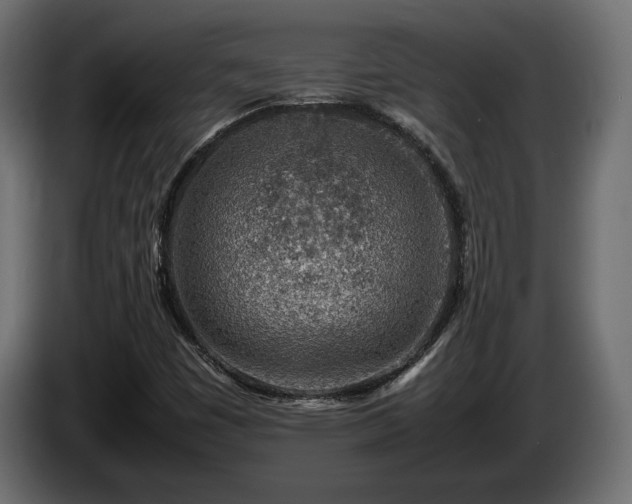 X0000085831449200703231410
