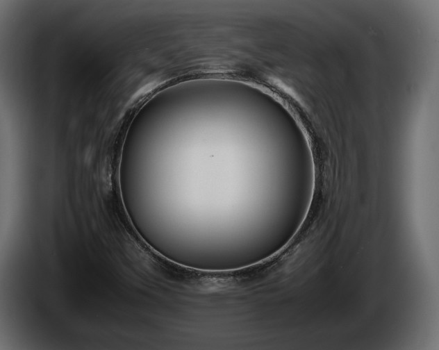 X0000085831451200703231410