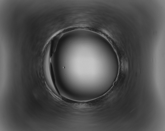 X0000085831452200703231410