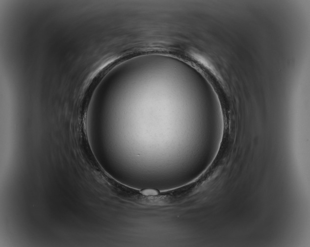 X0000085831453200703231410