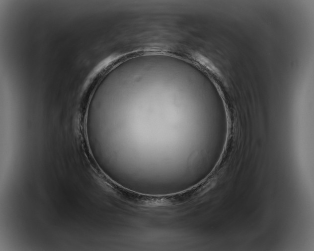 X0000085831454200703231410
