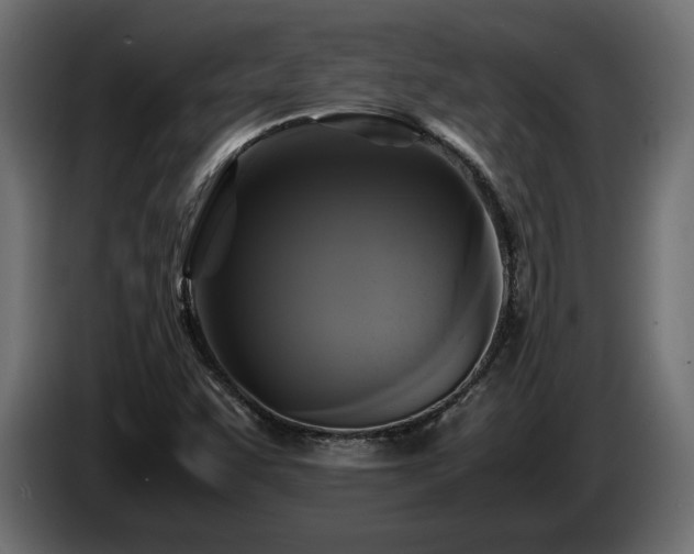 X0000085831455200703231410