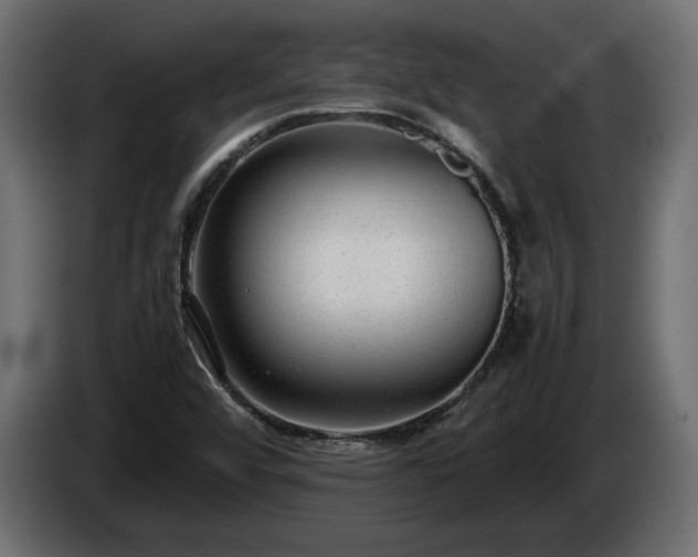 X0000085831456200703231409