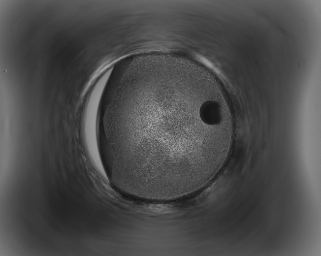 X0000085831459200703231409