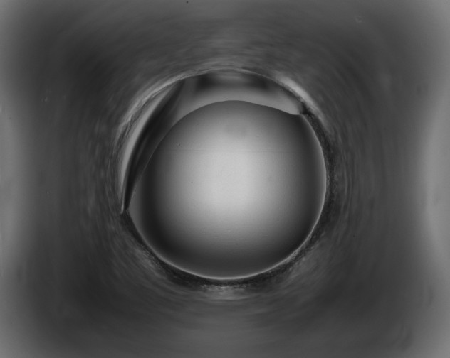 X0000085831461200703231409