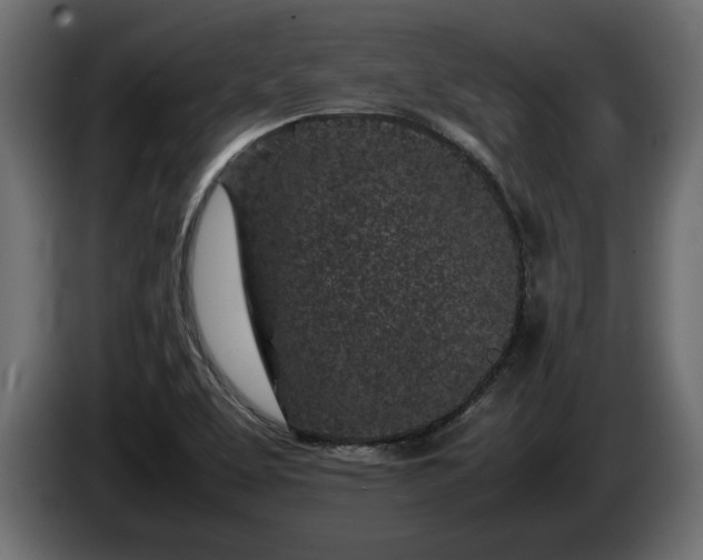 X0000085831463200703231409
