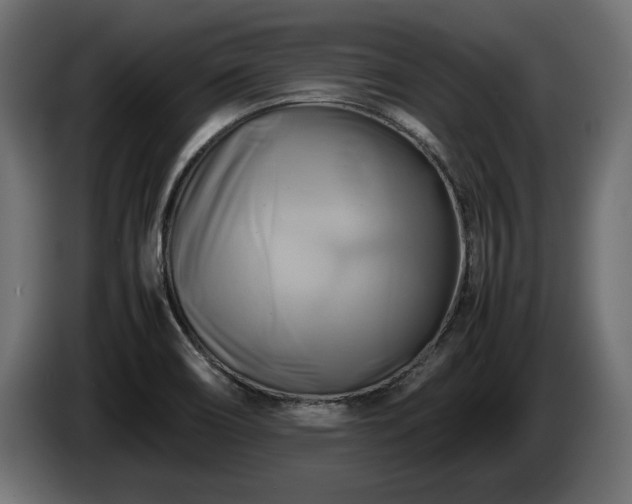 X0000085831466200703231409