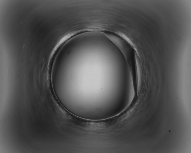X0000085831469200703231409