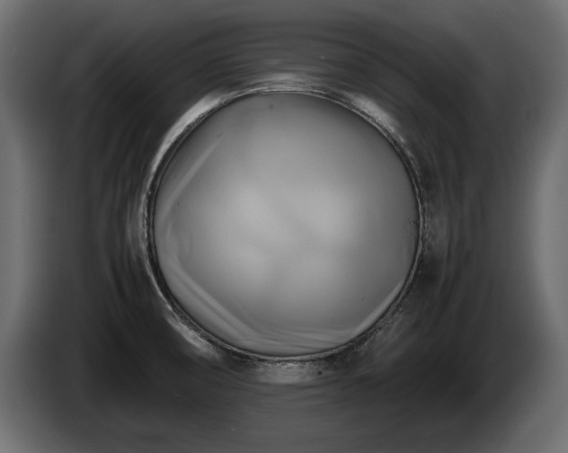 X0000085831474200703231409