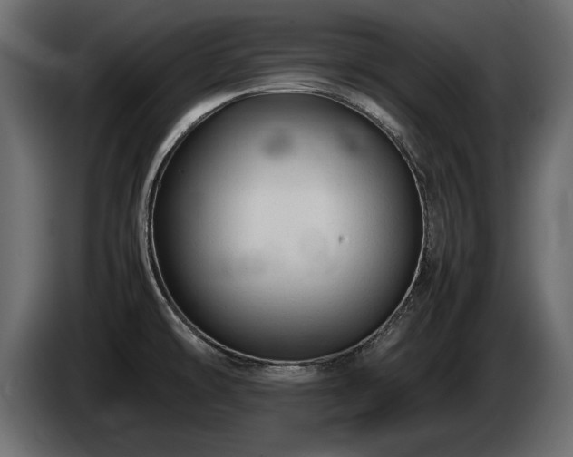 X0000085831478200703231409