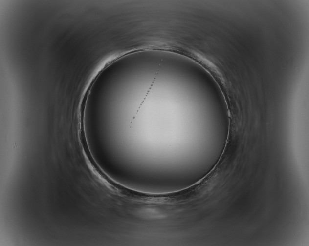 X0000085831479200703231409