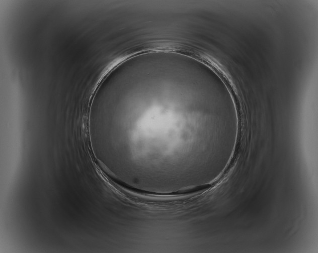 X0000085831481200703231409