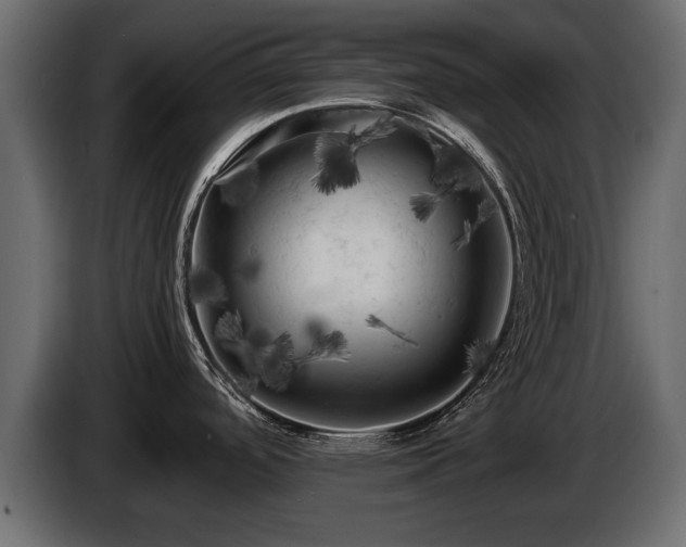 X0000085831488200703231409