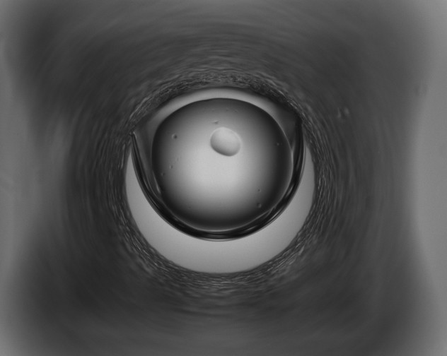 X0000085831489200703231408
