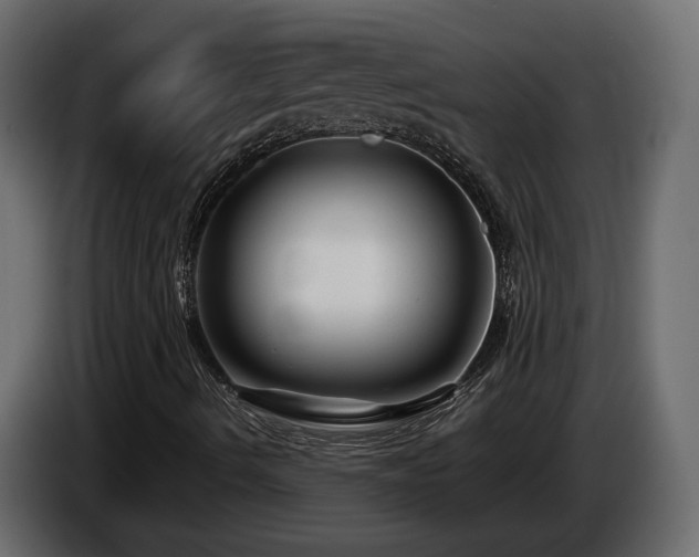 X0000085831490200703231408