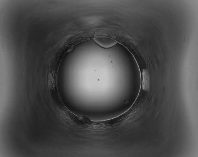 X0000085831491200703231408