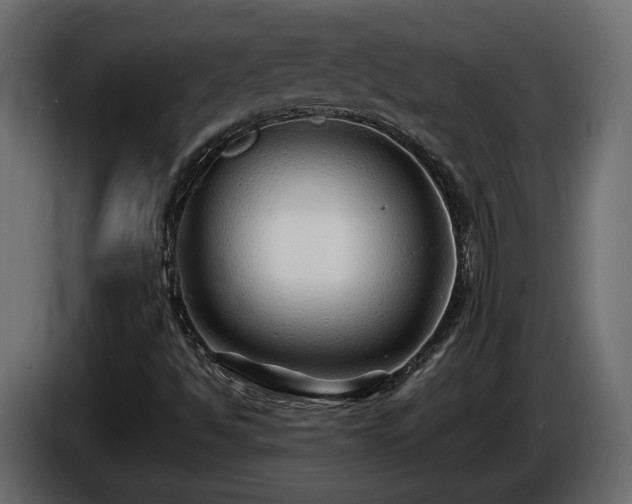 X0000085831494200703231408