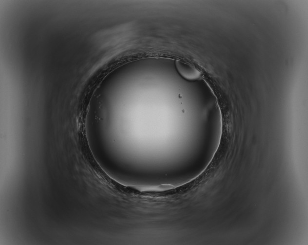 X0000085831495200703231408
