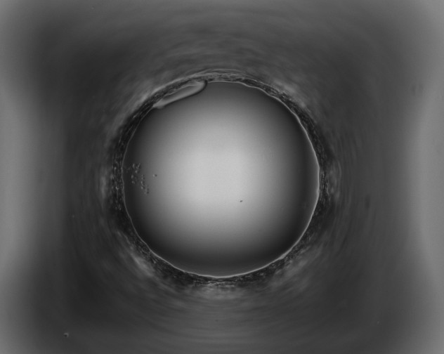 X0000085831496200703231408