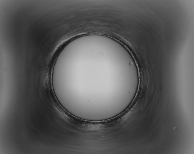X0000085831498200703231408