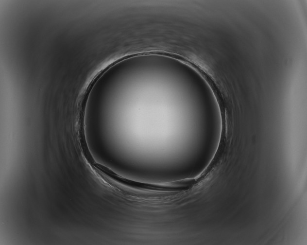 X0000085831500200703231409