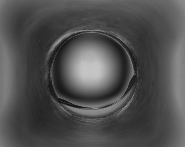 X0000085831502200703231409